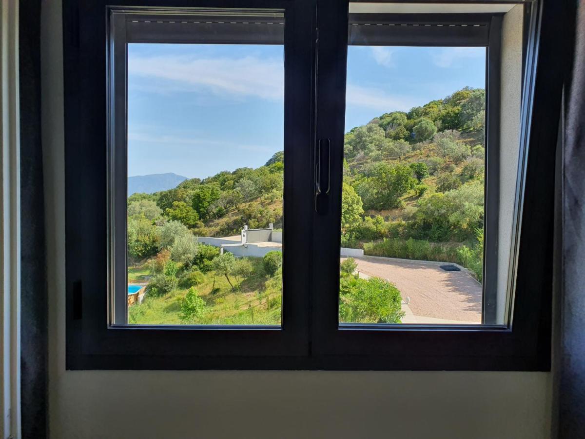 Appartement F2 avec terrasse de 35 m2 Bomorto - Porticcio Porticcio  Esterno foto