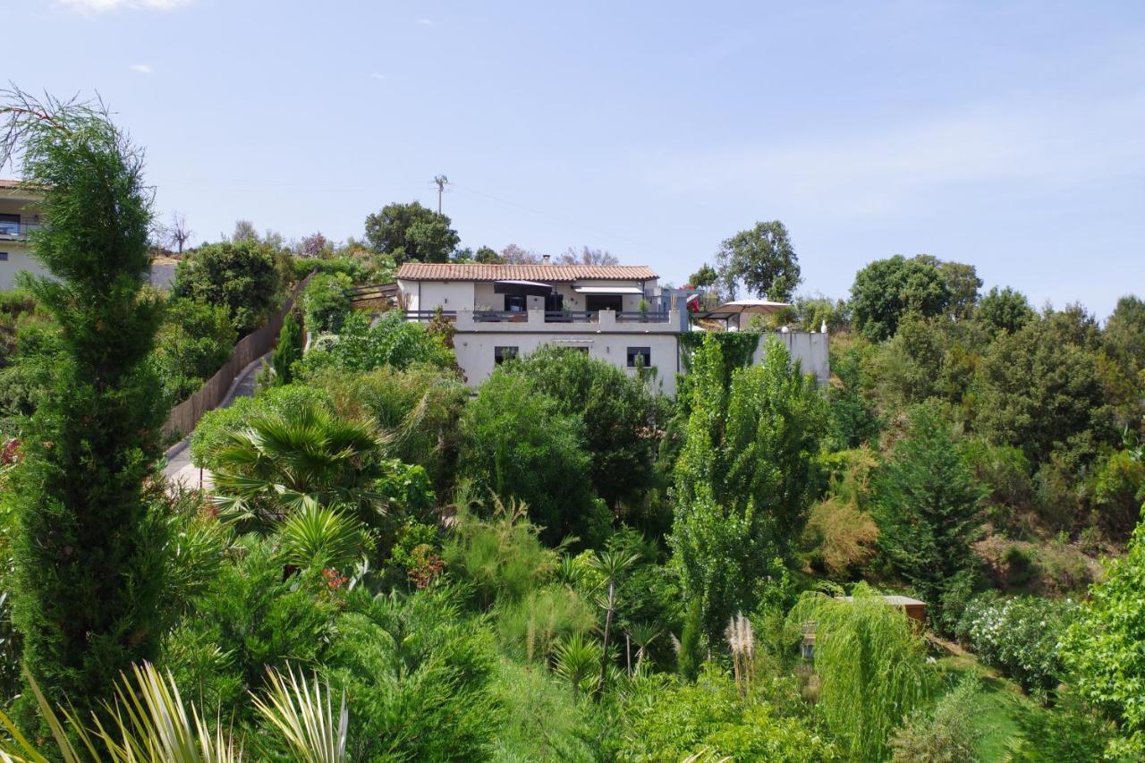Appartement F2 avec terrasse de 35 m2 Bomorto - Porticcio Porticcio  Esterno foto